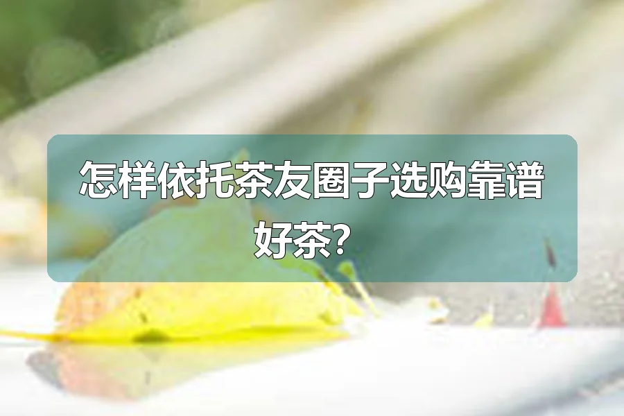 怎样依托茶友圈子选购靠谱好茶？